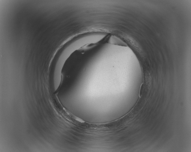 X0000082160488200702092221