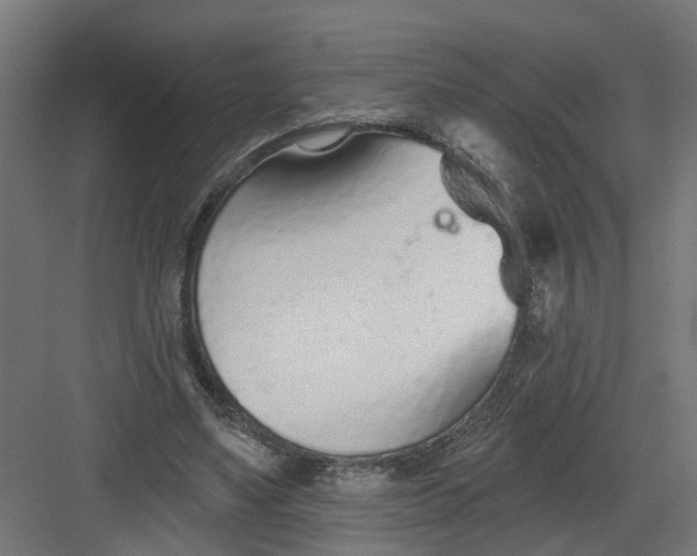 X0000082160491200702092221