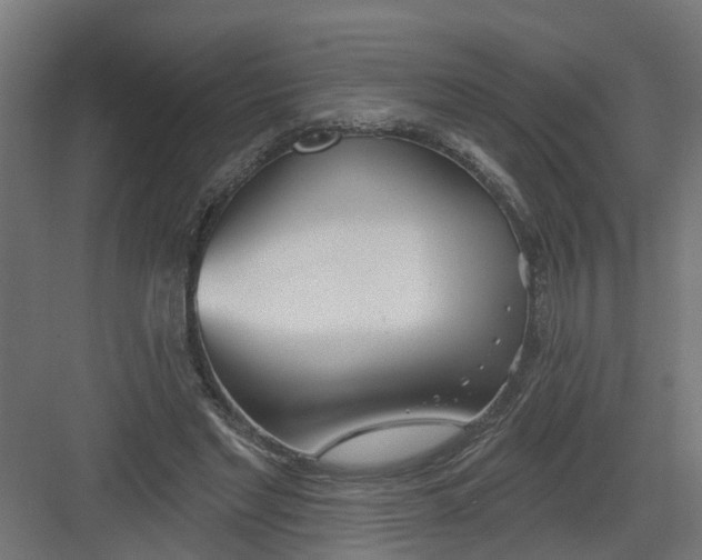 X0000082160493200702092221