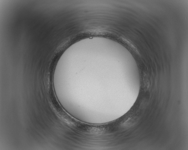 X0000082160494200702092221