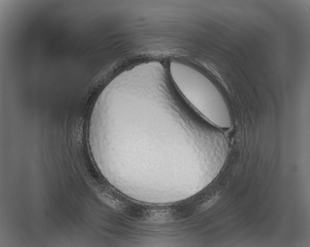 X0000082160495200702092221