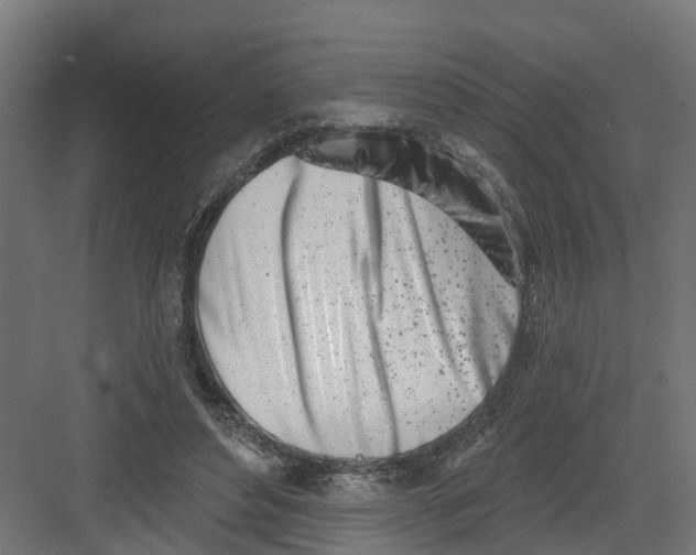 X0000082160496200702092221