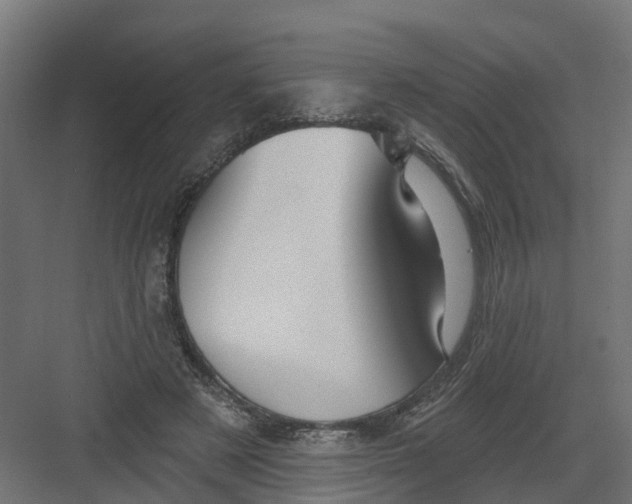 X0000082160497200702092221