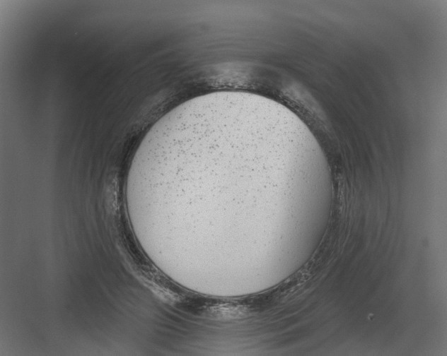 X0000082160498200702092221