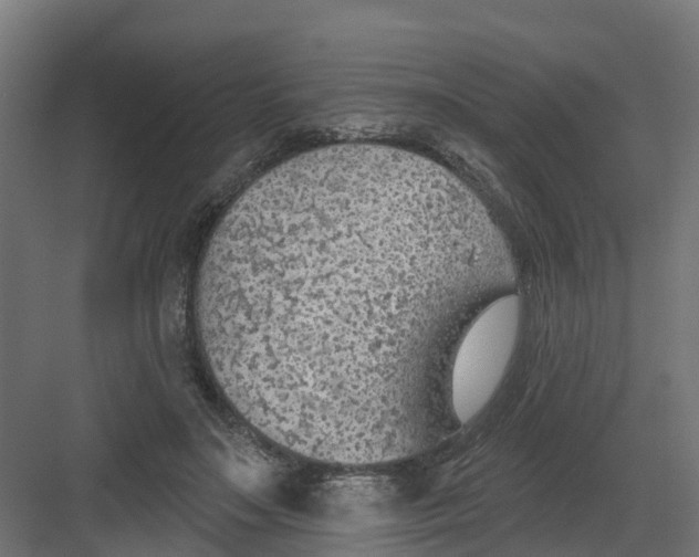 X0000082160499200702092221