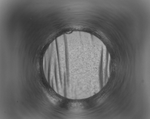 X0000082160500200702092221