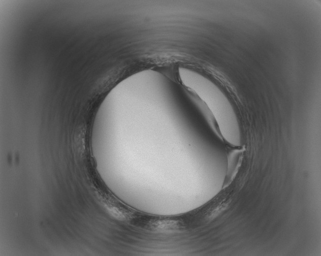 X0000082160501200702092221