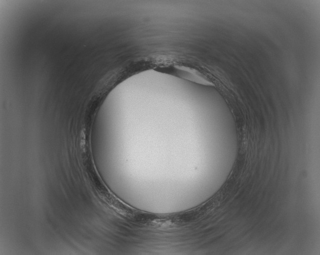 X0000082160502200702092221