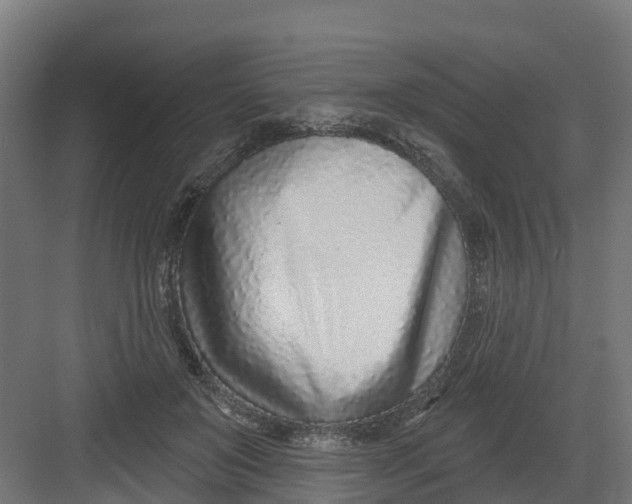 X0000082160503200702092221