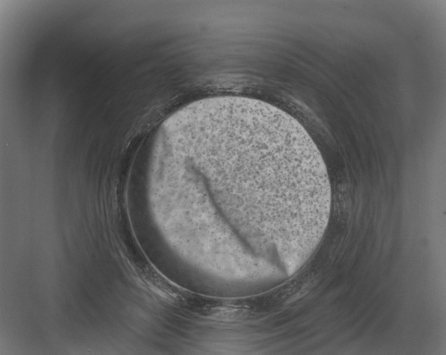 X0000082160504200702092221