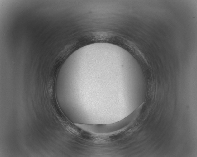 X0000082160505200702092221