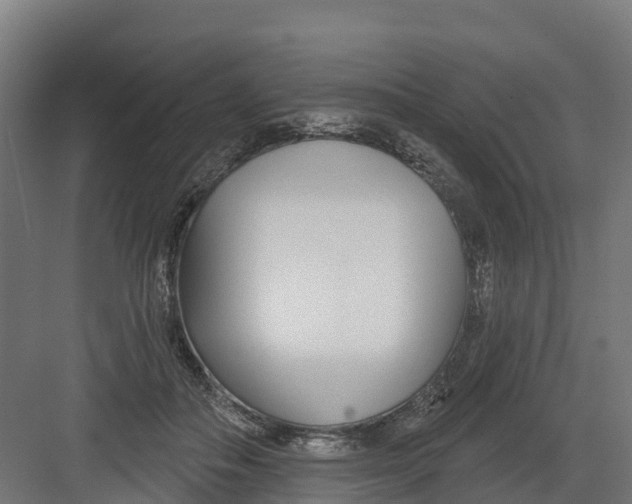 X0000082160506200702092221