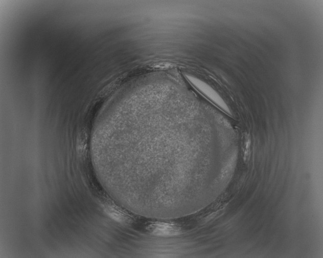 X0000082160507200702092221