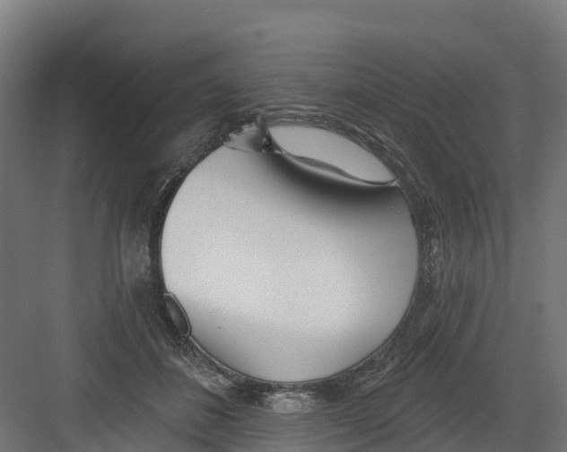 X0000082160508200702092221