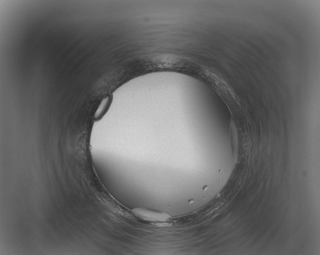 X0000082160509200702092221