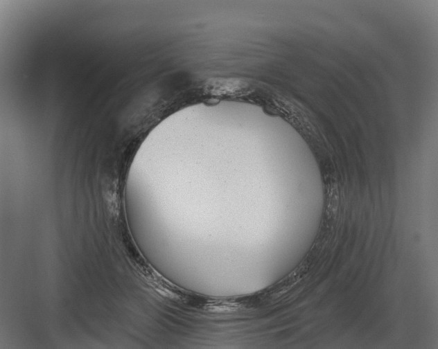 X0000082160510200702092221