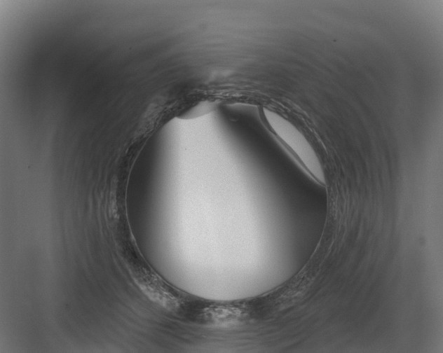 X0000082160512200702092221