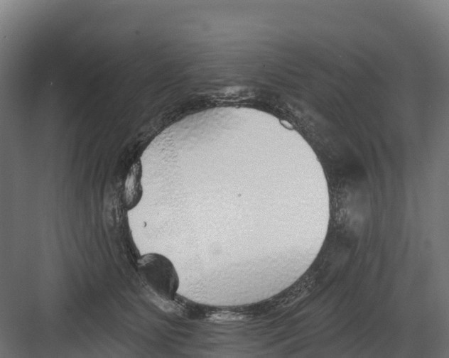 X0000082160515200702092221