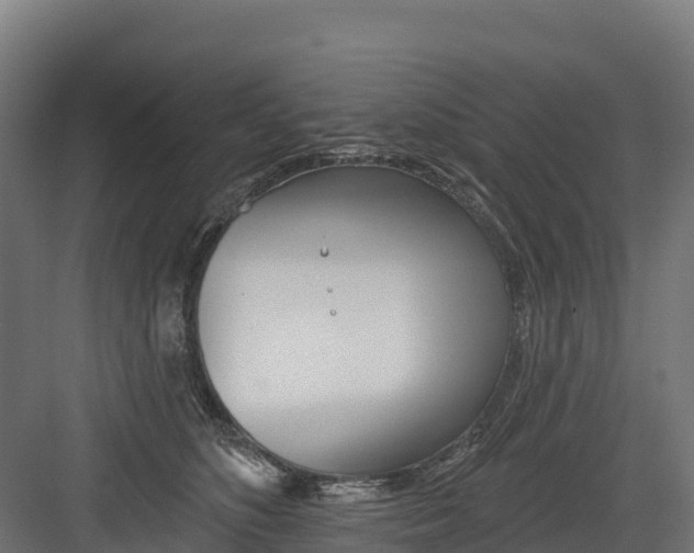 X0000082160516200702092221