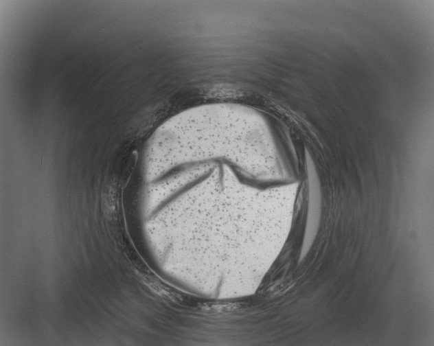 X0000082160517200702092221