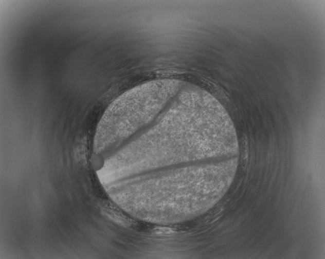 X0000082160519200702092221