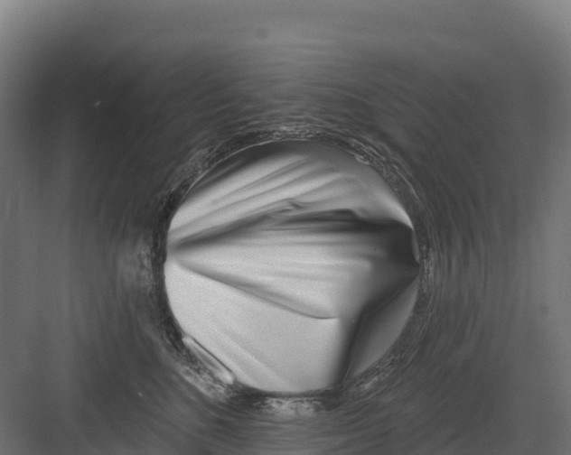 X0000082160520200702092221