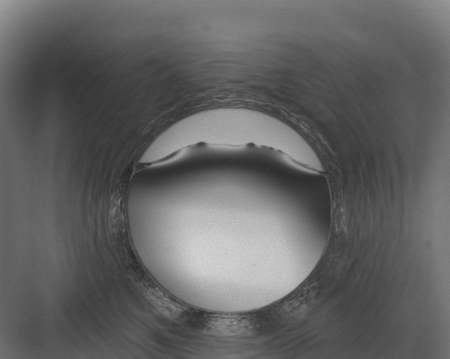 X0000082160521200702092221