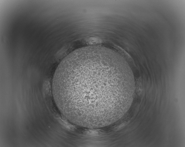 X0000082160523200702092221