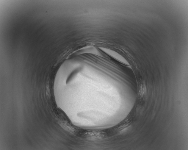 X0000082160524200702092221