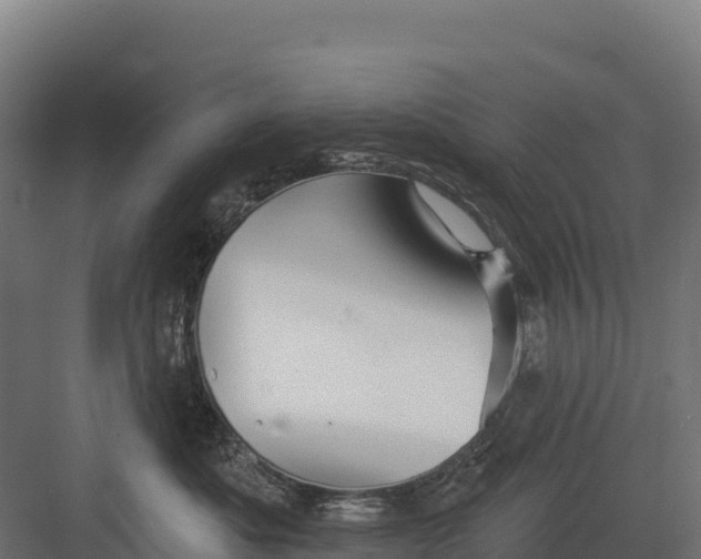 X0000082160525200702092221