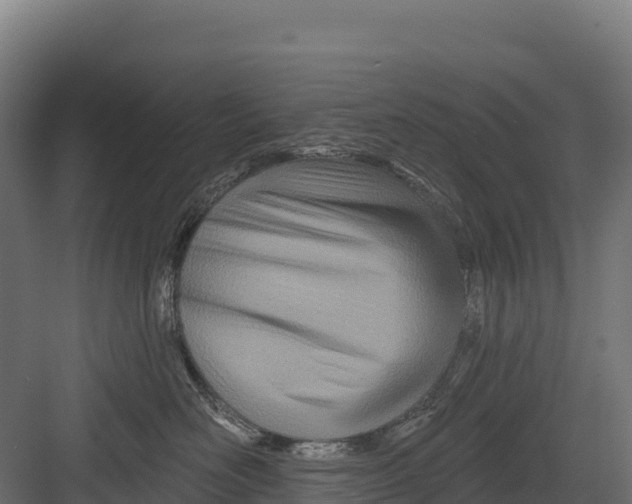 X0000082160526200702092221