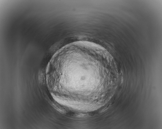 X0000082160527200702092221