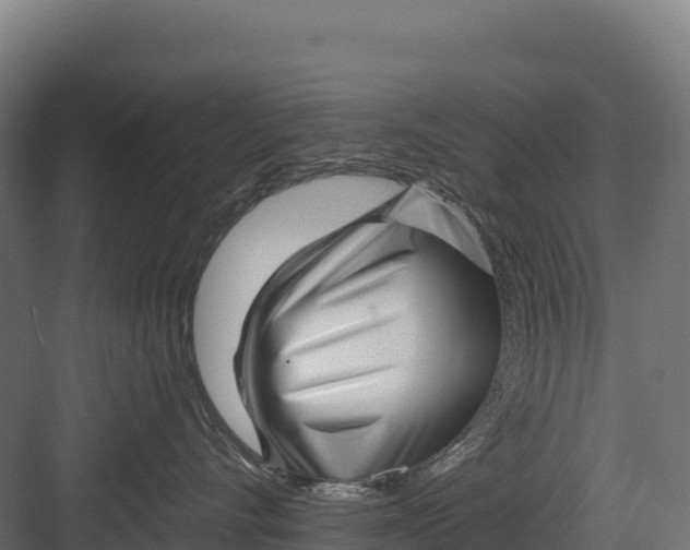 X0000082160528200702092221