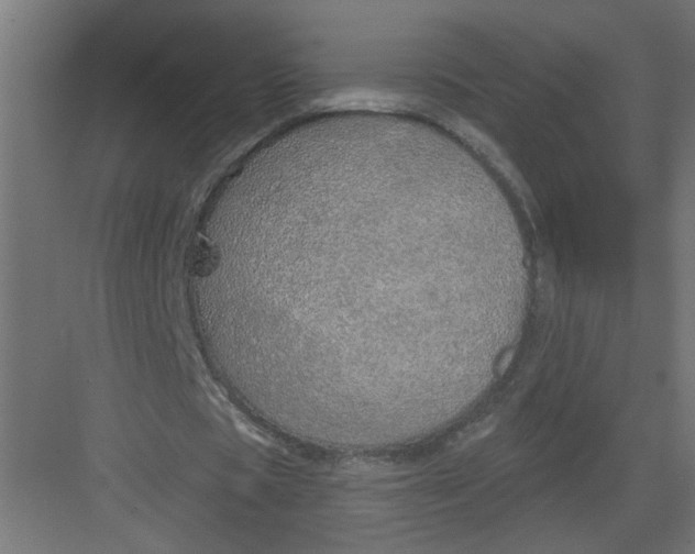 X0000082160529200702092220