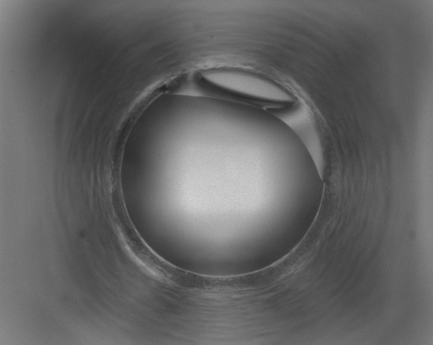 X0000082160530200702092220