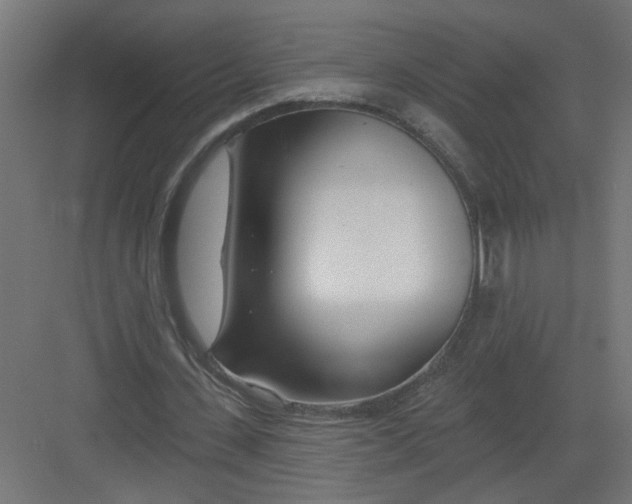 X0000082160531200702092220