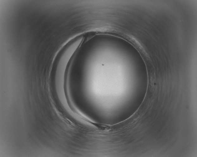 X0000082160532200702092220