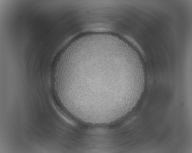 X0000082160533200702092220