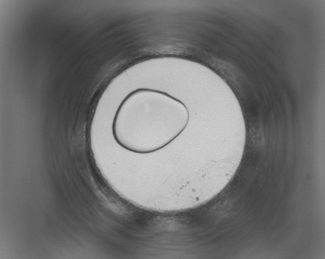 X0000082160534200702092220