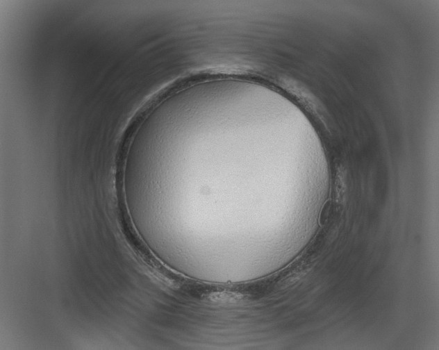 X0000082160535200702092220