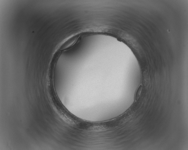 X0000082160536200702092220