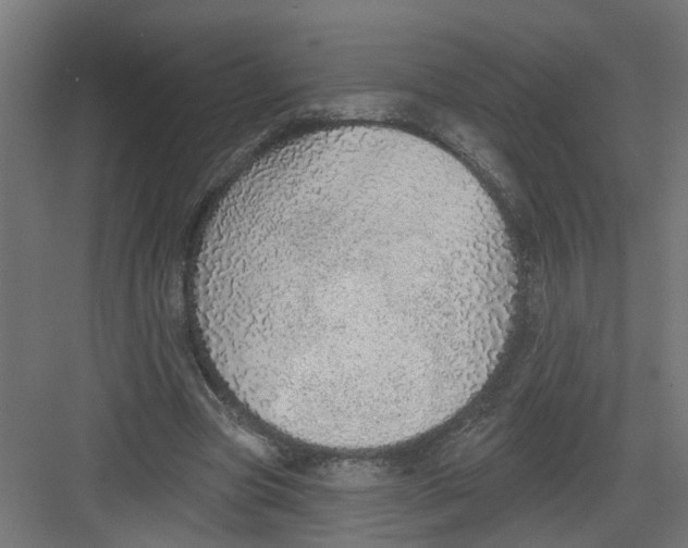 X0000082160537200702092220