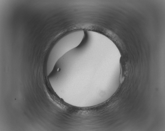 X0000082160538200702092220