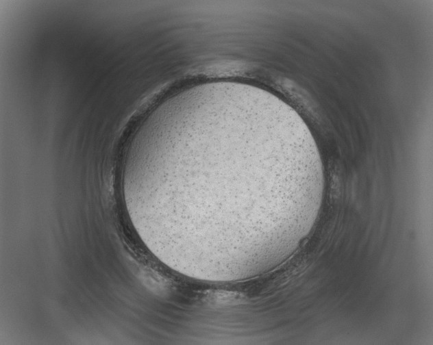 X0000082160539200702092220