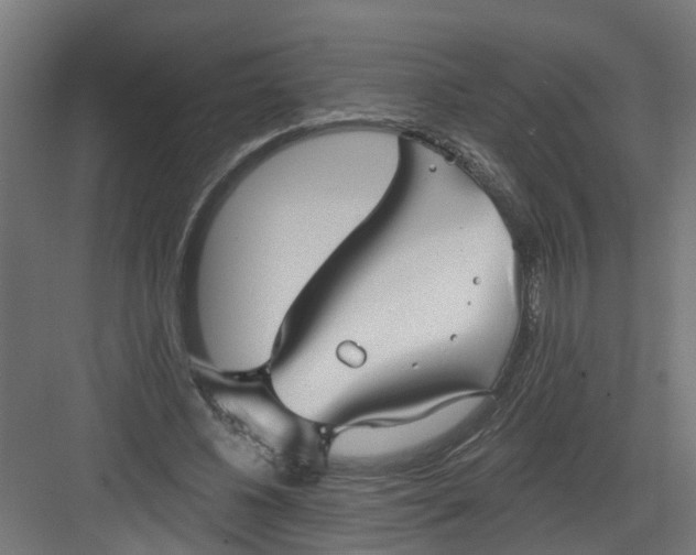 X0000082160540200702092220