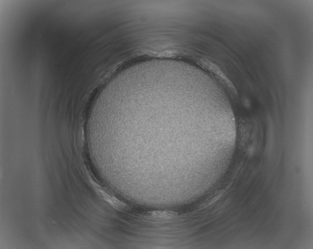 X0000082160541200702092220