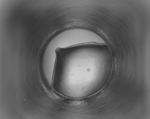 X0000082160542200702092220