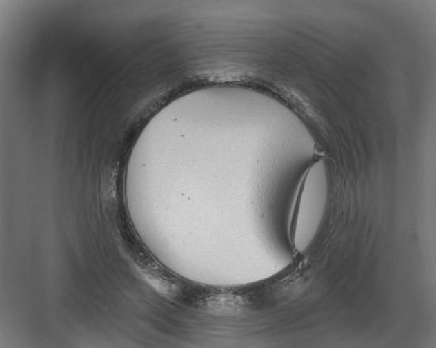 X0000082160543200702092220