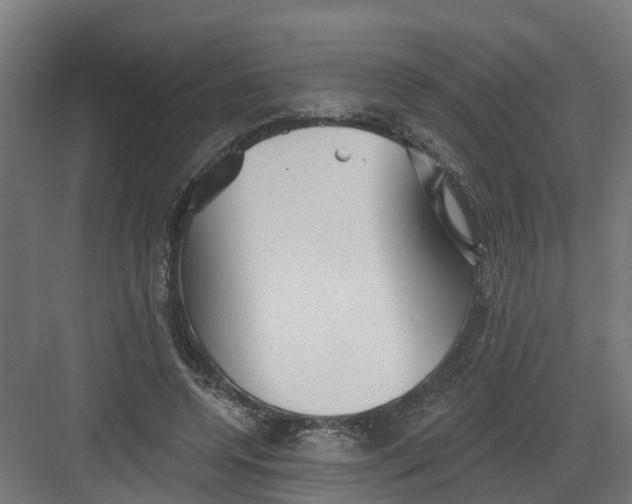 X0000082160544200702092220