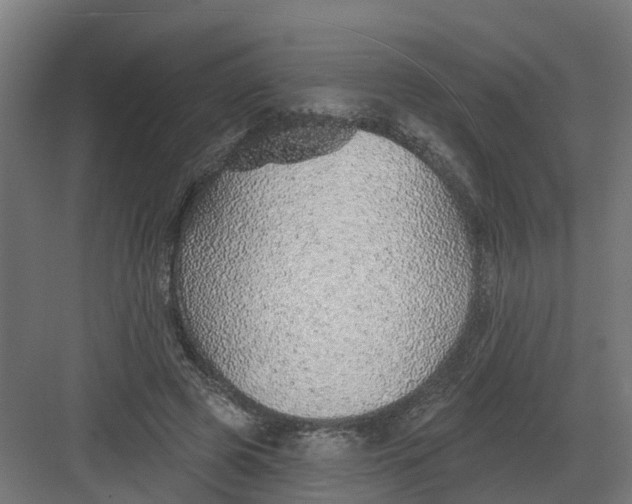 X0000082160545200702092220